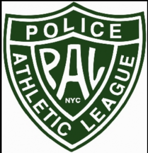 PAL Fair Use Logo
